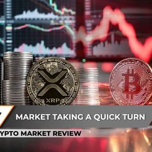 Morning Crypto Report: $74.68 Million XRP Bull Makes Brutal Mistake, Bitcoin Briefly Hits $0 On Decentralized Exchange, Shiba Inu (SHIB) Delivers 5,407,865% Liq...