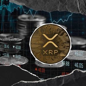XRP Payments Spike to 1.346 Million in 24 Hours: Rally Isn't Stopping