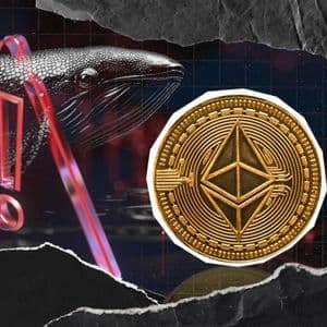 Scam Alert: Ethereum Whales Lose Millions to Copy-Paste Error