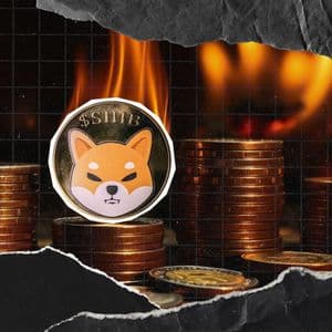 0 Shiba Inu In 24 Hours, Burn Rate Crashes 100%