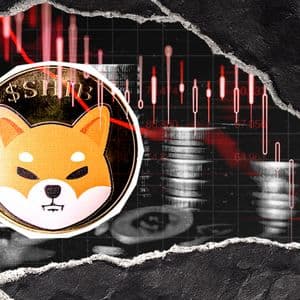 Shiba Inu Crashes to $0.00000666: Why This Unusual Price Point Matters