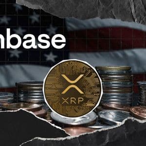 Coinbase, Ripple, and Bitstamp Linked to $172,513,649 XRP Transfer via On-Chain Data