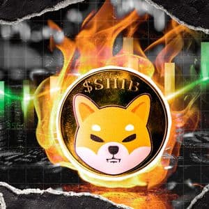 Shiba Inu Jumps 12% in Burn Rate, But Price is Still Down