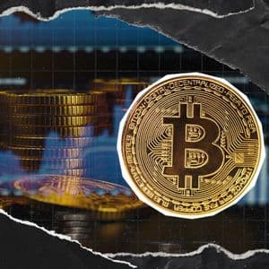 It Will Take Bitcoin 20 Years to Become  'Better Gold': Willy Woo