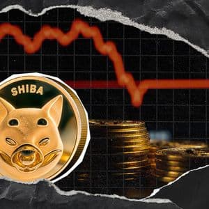 SHIB Market Update Highlights 129% Move Toward Net Outflows