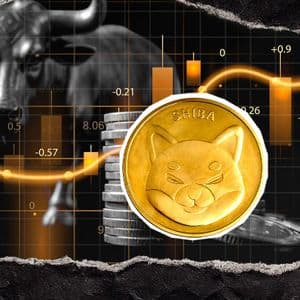 Shiba Inu (SHIB) Paints a Bullish Stability Signal