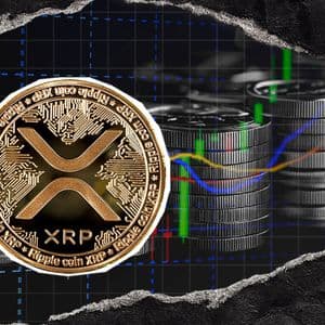 XRP Faces Further Downside Risk After $435M Liquidations, Bollinger Bands Warn
