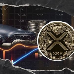 XRP Whale Moves $127 Million as Price Dips 5%