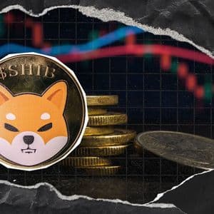 Shiba Inu Open Interest Down 5% Despite SHIB Price Relief Rally