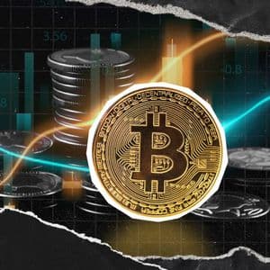 Bitcoin whales continue to make large Bitcoin withdrawals after the recent price rally, suggesting that large Bitcoin holders may be quietly accumulating the as...