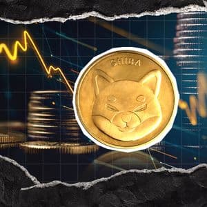 -337 Billion Shiba Inu (SHIB) Removed in 24 Hours: Is It Getting Better?