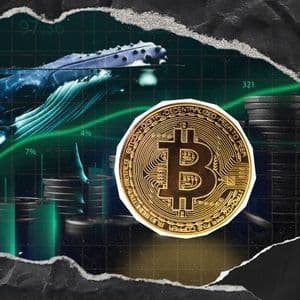 Bitcoin Whales Place Strong Bids at $71,000, Price Scenarios to Watch
