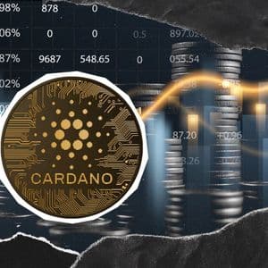 "Not Bridges": Cardano Builder Highlights Vision for Direct Withdrawals