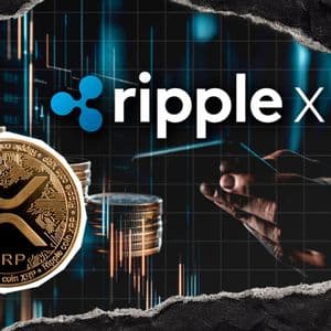 RippleX Head of Research Shares XRP Vision in Harvard Business School Discussion