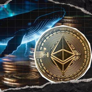 Ethereum Whale Buys $100M ETH as On-Chain Activity Hits Record Highs