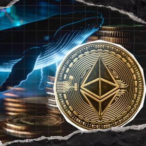 Ethereum Whale Buys $100M ETH as On-Chain Activity Hits Record Highs