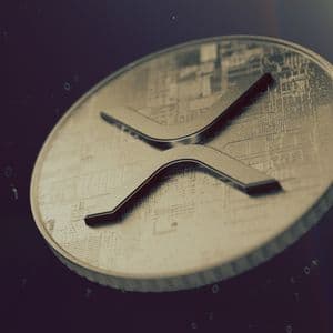 2 Million XRP Threshold Crossed, But One Detail is Missing