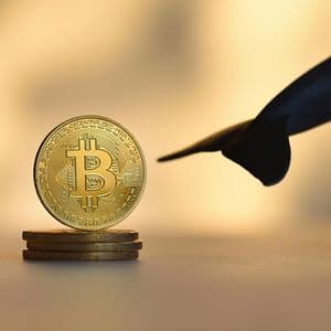 Satoshi Era Bitcoin Whale Owen Gunden Sold Enormous Part of Bitcoin Holdings