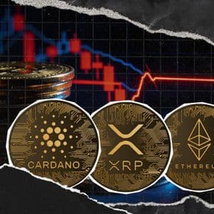 Cardano, XRP, Ethereum and Other Altcoins Popularity Collapses: Does No One Needs Them?