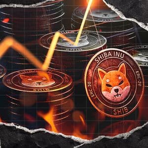 Shiba Inu Sees Rapid  Network Growth as Burn Rate Soars 637%