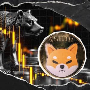 Shiba Inu Bears Activate as Netflow Tops 350 Billion SHIB