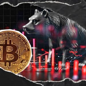 Willy Woo Updates Bitcoin Outlook: Why the Bearish Trend Could Persist Through Spring