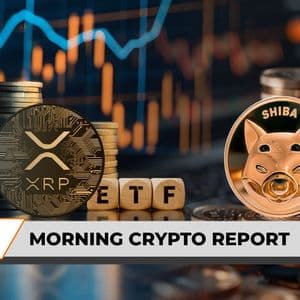 XRP Max Pain Triggered Ahead of Friday ETF Deadline; Billions of Shiba Inu (SHIB) Vanish From Centralized Platforms; Tether CEO Reacts to Special Binance Listin...