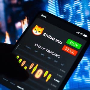 -30 Billion Shiba Inu (SHIB) in 24 Hours: Bulls Are Finally Taking Control