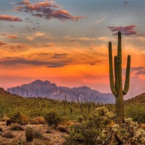 Arizona Bitcoin Bill Nearing Final Vote, But It's Too Early to Celebrate