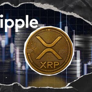 XRP Faces Quantum Era: Ripple Research Head Decodes Google’s 2029 Migration Deadline