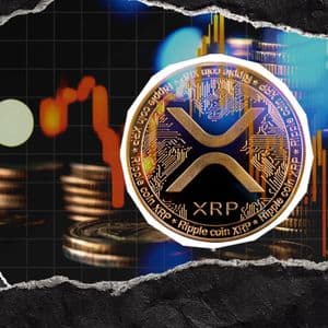 XRP Keeps 1,237% Liquidation Imbalance Amid $1.34 Resistance Test