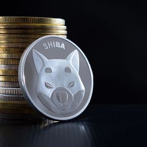Shiba Inu Loses $0.000006 Threshold: 3 Possible Price Scenarios