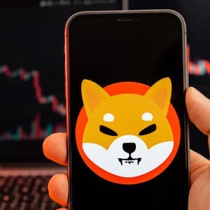 Less Than 1 Billion Shiba Inu (SHIB) In 24 Hours: Outflows Are Plummeting to the Ground
