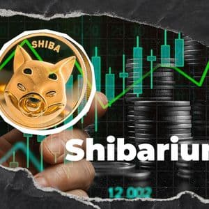 Shibarium Update: 33% Transaction Jump Registered as Network Activity Rebounds