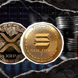 Spot SOL And XRP ETFs See Consecutive Days Of Multi-Million Dollar Inflows