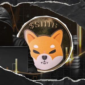 "Counting Down?": Shytoshi Kusama Update Sparks SHIB Speculation