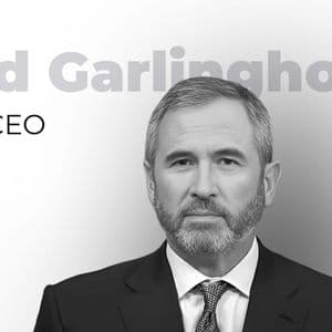 Ripple CEO Wins Prestigious Harvard Business Award