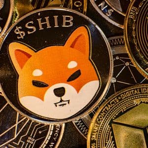 429 Billion Shiba Inu (SHIB) in 24 Hours: Volumes Flip Substantially