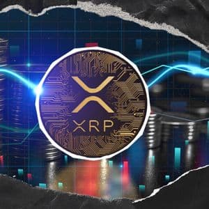 4,300 XRP Wallets Created in Day as Network Growth Hit 4th Largest Spike of 2026