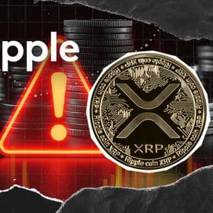 'No Airdrop': XRPL Developer Repeats Crucial Warning to XRP Community