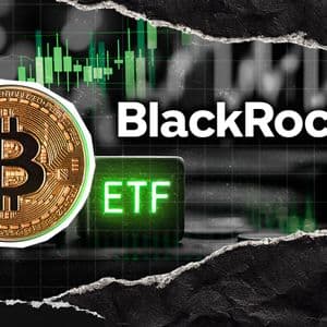 BlackRock's IBIT Hits Largest Outflow Ever