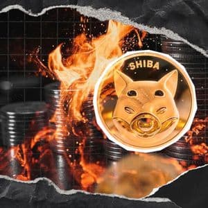 19,513,946 SHIB Destroyed, Shiba Inu Burn Rate Responds With 159% Spike