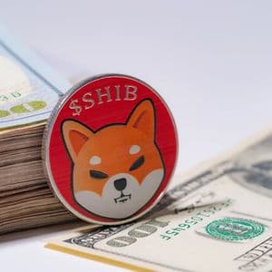 164 Billion Shiba Inu (SHIB) in 24 Hours: Netflows Finally Easing