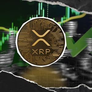 XRP Beyond Payments: Flare Exec Explains New Opportunities