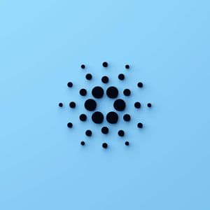 Cardano Summit Canceled After Treasury Funding Fails