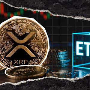 XRP ETFs Pull Strongest 2024 Performance in May Despite Market Volatility