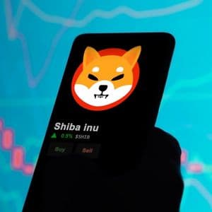 Shiba Inu (SHIB) on Verge of Crossing 390 Billion Threshold in Exchange Inflows: Bears Take Control