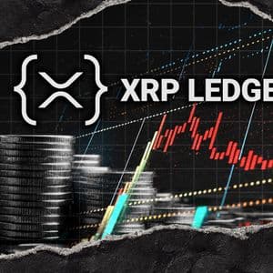 '$1.6 Billion in Longs': XRP Validator Reacts as Crypto Selloff Leaves Bulls Bleeding