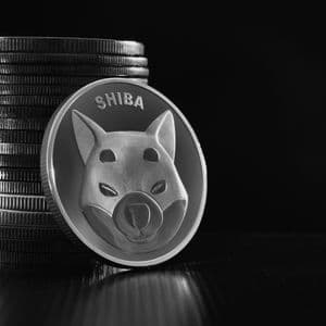 Shiba Inu (SHIB) 'Loses' 1418% in Futures Flow: Explaining Why It's Possible