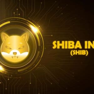 Shiba Inu (SHIB) Is in Best Possible Recovery State: Analyzing Next Price Targets